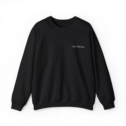 The Embroided Sweatshirt